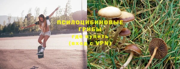 мескалин Абаза