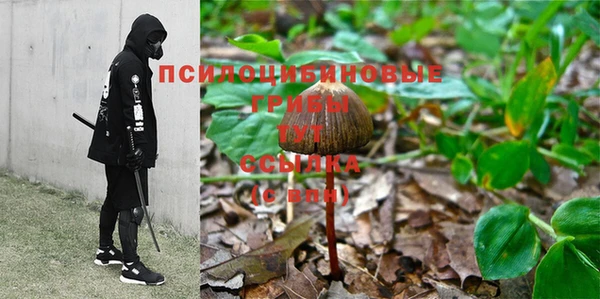 МДПВ Абинск
