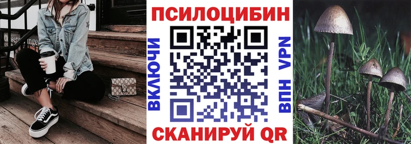Псилоцибиновые грибы Psilocybe  Весьегонск 